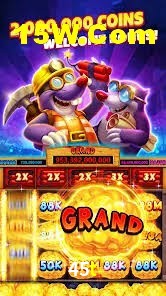 Casino VIP 45t